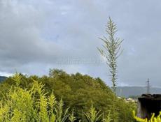 УЧАСТОК 10 СОТОК В СУХУМЕ ЗА 1,3 млн.₽