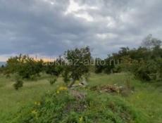 Продается зем.участок в черте г.Сухум