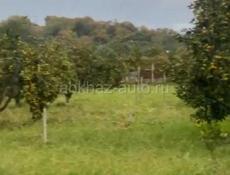 Продается зем.участок в черте г.Сухум