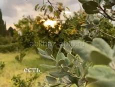 Продается зем.участок в черте г.Сухум