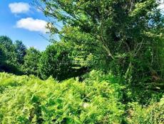 УЧАСТОК 6 СОТОК В С. ВЕРХНЯЯ ЭШЕРА