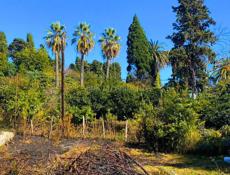 Участок в Новом Афоне (Моспитомник)