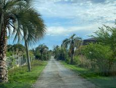 Участок в Новом Афоне (Моспитомник)