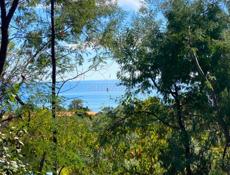 Участок в Новом Афоне (Моспитомник)