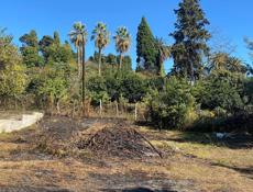 Участок в Новом Афоне (Моспитомник)