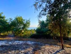 Участок в Новом Афоне (Моспитомник)