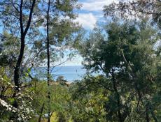 Участок в Новом Афоне (Моспитомник)