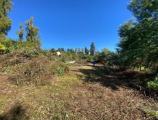 Участок в Новом Афоне (Моспитомник)