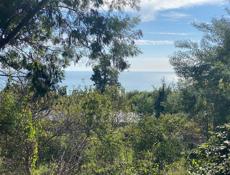 Участок в Новом Афоне (Моспитомник)