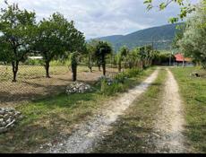 Участок 6 соток