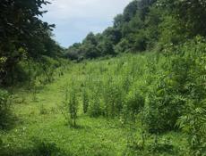 Каштак 11 соток