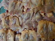 Продается  Перепелка