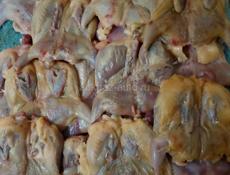 Продается  Перепелка