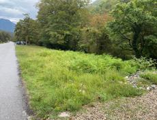 Продажа участка на Риценском ущелье 6 км.