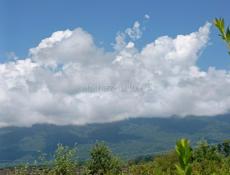 Участок 15 соток Алахадзы ул. Лермонтова