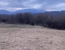 Участок 1.5 гектара Очамчырский район