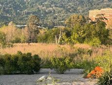 ГАГРА: УЧАСТОК НА БЕРЕГУ МОРЯ (Кемпинг) 21 сотка