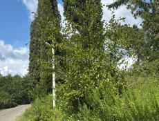 Продам участок !Сухум!Яштуха