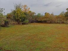 УЧАСТОК 1 ГЕКТАР В С. КАМАНЫ