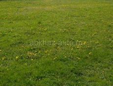 Участок 24 сотки г. Гагра