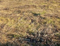 Продается земельный участок в Алахадзы