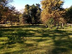 Участок 20 соток