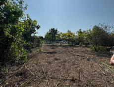 Алагадзы шаумяна 10 соток