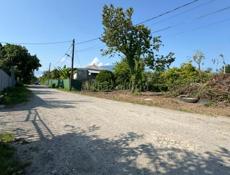 Алагадзы шаумяна 10 соток