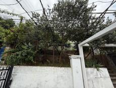 Сегодня за 850т