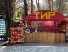 Тир