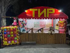 Тир