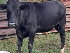  продано