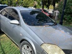 Nissan Primera