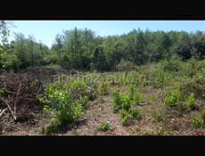 Участок В Кинге Море рядам Горячи источники рядом