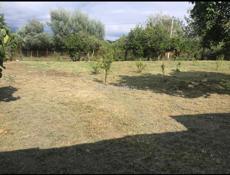 Участок 6 соток