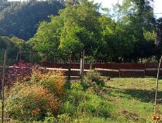 Продаю большой участок срочно 