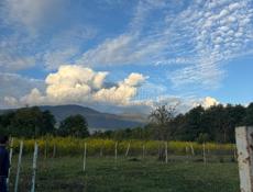 Продаю земельный участок