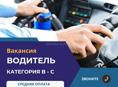 🚗 Трансферная компания ищет водителей микроавтобусов и минивенов