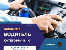 🚗 Трансферная компания ищет водителей микроавтобусов и минивенов