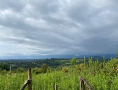 Продается участок. г.Гудаута, поселок Дружба