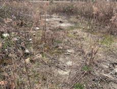 Продажа земельного участка в Цандрипше