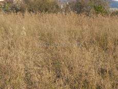 Продажа земельного участка в Цандрипше