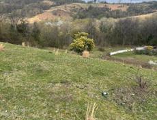 Продажа земельного участка в пос. Цандрипш