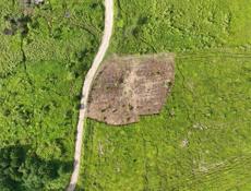 10 соток, есть торг есть рассрочка, 240 метров до моря 