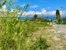 УЧАСТОК 6 СОТОК В СУХУМЕ, В НАЧАЛЕ МАЯКА