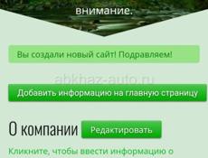 ДЕЛАЮ САЙТЫ РЕКЛАМУ ВЕДУ СТРАНИЦЫ