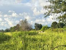 40 соток Уарча