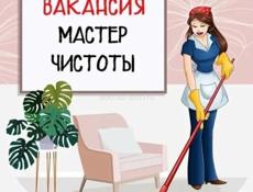 Требуется мастер чистоты