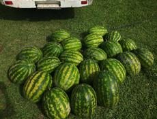 🍉