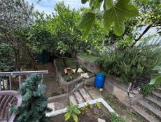 Участок 2-3 сотки 